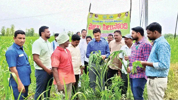  Panchayats ఉత్తమ పంచాయతీలకు అవార్డులు