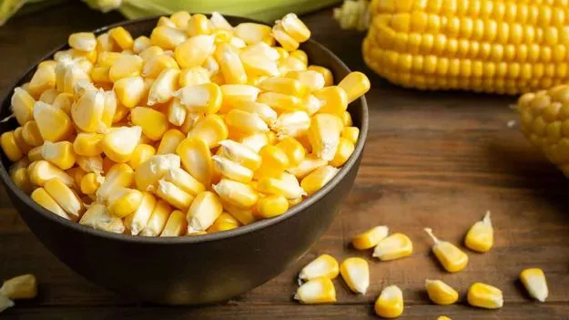 Corn For Diabetics: షుగర్ ఉన్నవారికి మొక్కజొన్న మంచిదా? చెడ్డదా? నిపుణుల సూచన ఇదే..