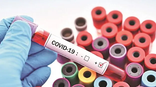 Covid 19: కలెక్టరేట్‌లో కరోనా.. ఐసోలేషన్‌కు ఉద్యోగులు