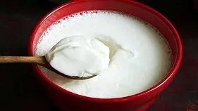 Constipation: మలబద్ధకం సమస్యా? పెరుగుతో ఈ పదార్థాలను కలిపి తినండి..!