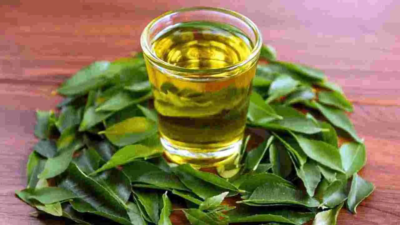Health Tips: ఉదయం ఖాళీ కడుపుతో కరివేపాకు నీళ్లు తాగితే జరిగేది ఇదే..