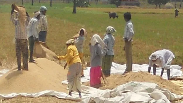 ధాన్యం బకాయి చెల్లింపు