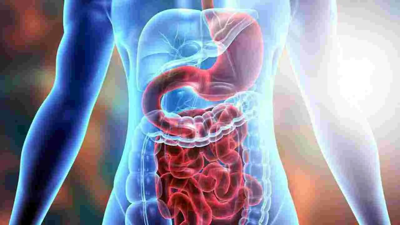 Health Tips: తేనె, అల్లం కలిపి తినడం వల్ల ఎన్ని లాభాలున్నాయో తెలుసా..