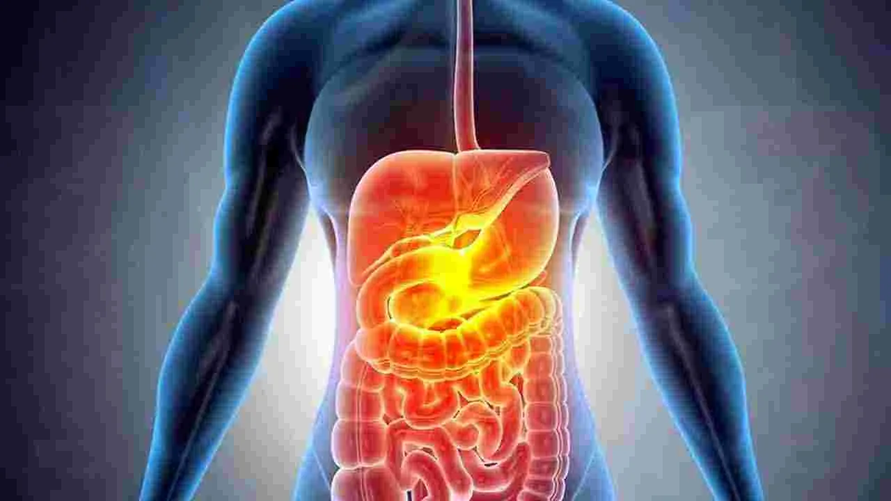Health Tips: ఈ పండును రోజుకు ఒకసారి తింటే.. వ్యాధులన్నీ పరారవ్వాల్సిందే.. 