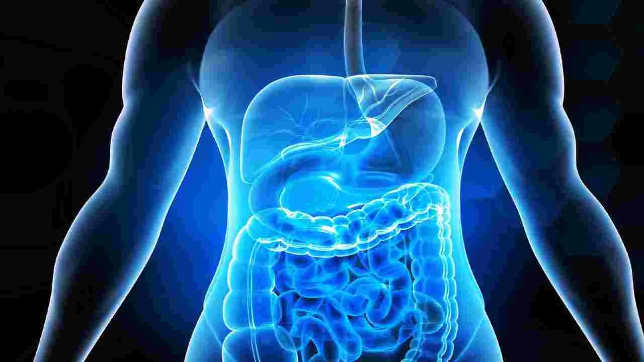 Health Tips: ఉదయం ఖాళీ కడుపుతో కరివేపాకు నీళ్లు తాగితే జరిగేది ఇదే..