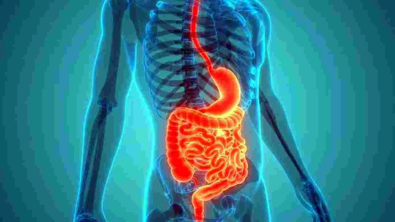Health Tips: రాత్రి 7లోపు భోజనం చేస్తే.. శరీరంలో ఎలాంటి మార్పులు జరుగుతాయో తెలుసా..
