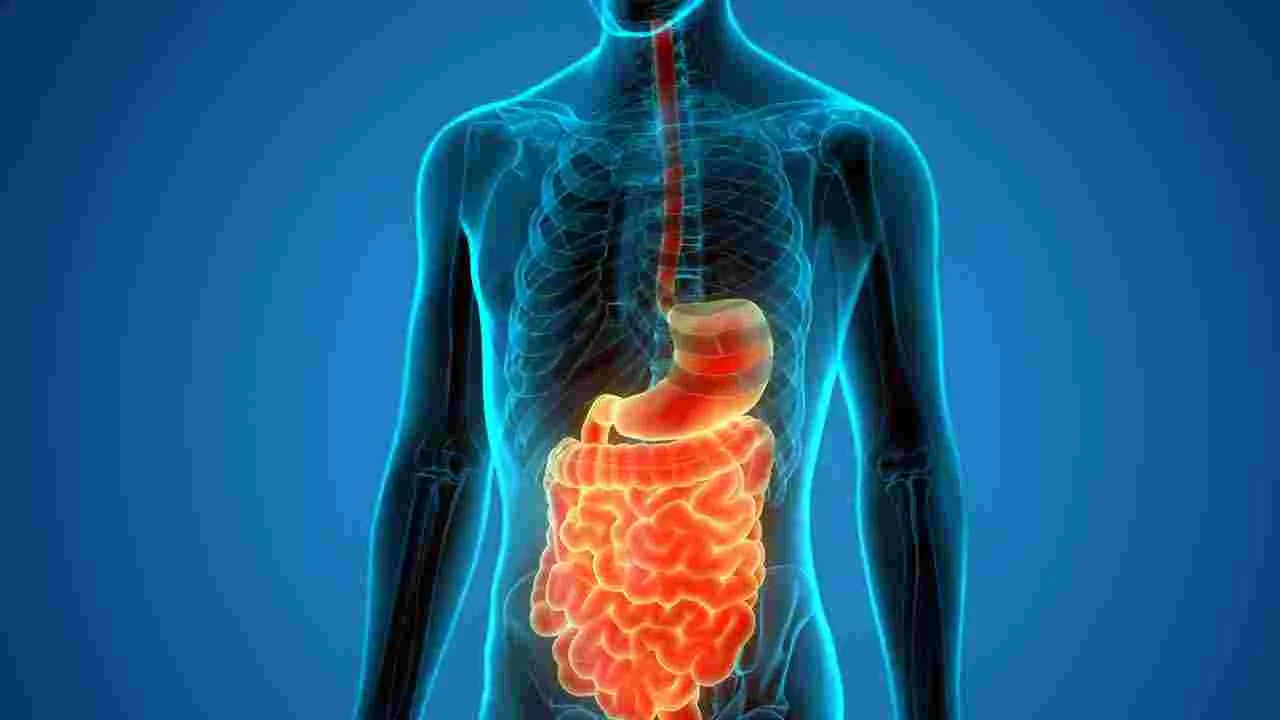 Health Tips: భోజనానికి ముందు పెరుగు తీసుకోవడం వల్ల కలిగే లాభాలివే..