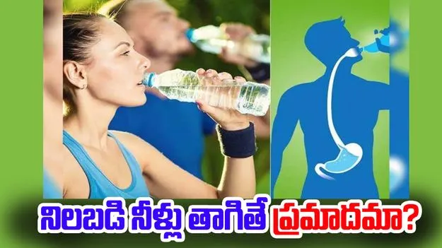 Drinking While Standing: నిలబడి నీళ్లు తాగితే కిడ్నీలపై ప్రభావం పడుతుందా..