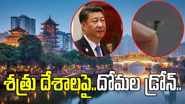 Mosquito Drone: సీక్రెట్ డ్రోన్‌ను రూపొందించిన చైనా.. దోమలాగే ఎగురుతూ..