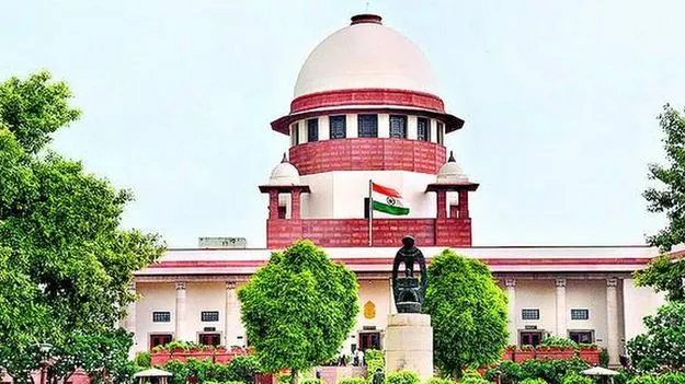 Supreme Court: మీకు కావాల్సింది ఆయన కాదు.. నిఘంటువు