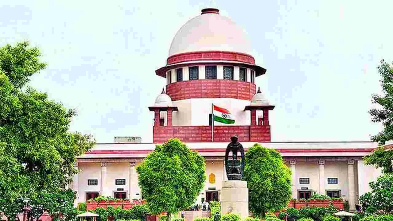 Supreme Court: మీకు కావాల్సింది ఆయన కాదు.. నిఘంటువు