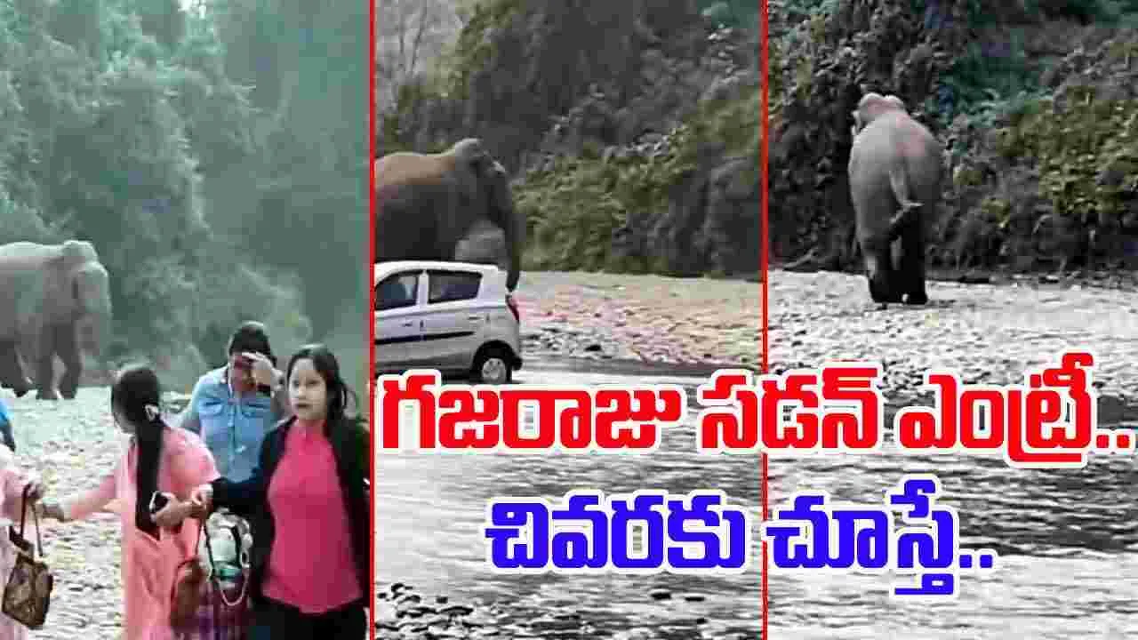Elephant Viral Video: అడవిలో ఎంజాయ్ చేస్తున్న పర్యాటకులు.. సడన్‌గా దూసుకొచ్చిన ఏనుగు.. చివరకు.. 