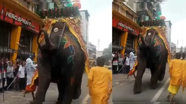 Rath Yatra: రథయాత్రలో అపశ్రుతి.. బీభత్సం సృష్టించిన ఏనుగు..