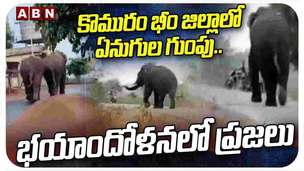 Komuram Bheem District: దూసుకొస్తున్న ఏనుగుల గుంపు.. భయాందోళనలో ప్రజలు..
