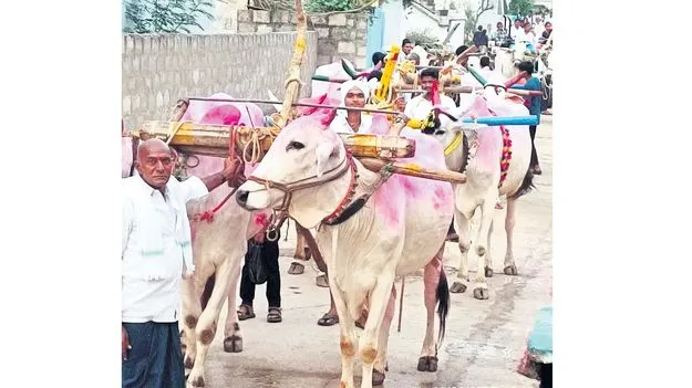ఏరువాక సాగుకు రైతన్న