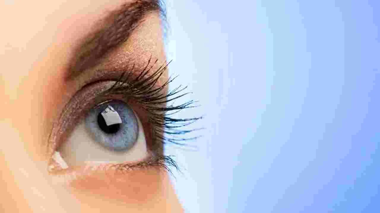 Eye Health: కంటి చూపు బాగుండాలంటే.. ఈ ఫుడ్స్ తినాల్సిందే