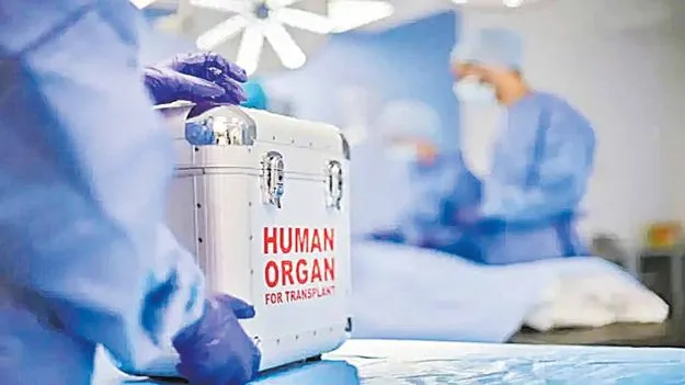 Organ Transplantation: సర్కారు దవాఖానాల్లో అవయవ మార్పిడుల పెంపు