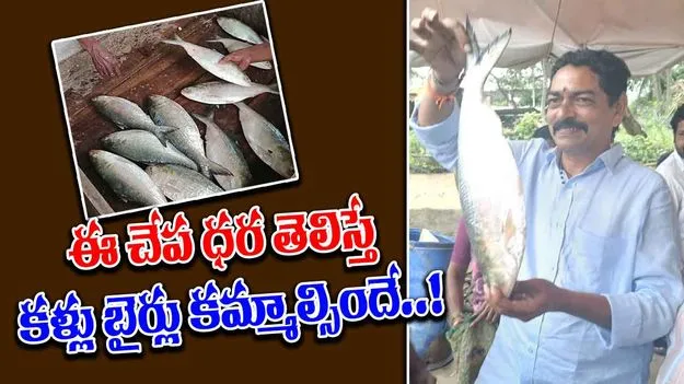 Record Price: రెండు కేజీల పులస రూ.26వేలు