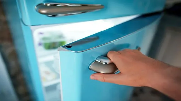 Sounds from fridge: ఇంట్లో ఫ్రిడ్జ్ నుంచి వింత శబ్దాలు.. భయపడుతూనే వెళ్లి చూస్తే.. ఏం జరిగిందంటే..