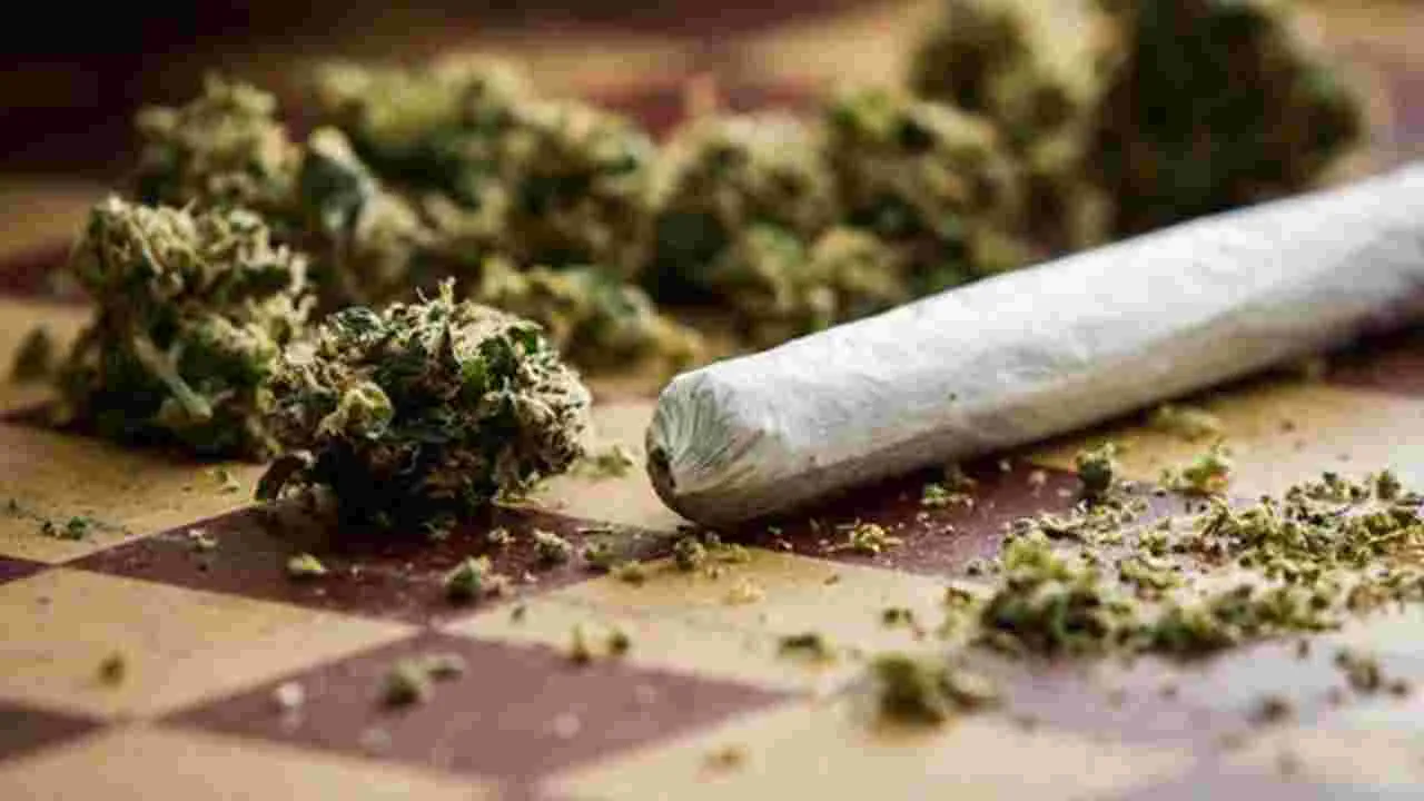 Excise Police Ganja Raid: గంజాయి స్మగ్లింగ్‌లో కొత్త పంథా.. చూస్తే షాక్‌ అవ్వాల్సిందే