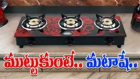 Watch Video:  గ్యాస్ స్టవ్ అందంగా ఉందని ముట్టుకుంటే అంతే.. తిప్పి చూడగా షాకింగ్ సీన్.. 