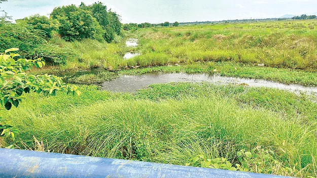 Drainage issue: ఏటా ముంపే 