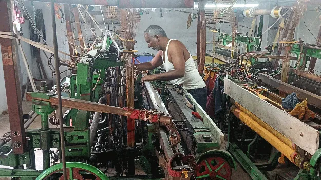    చిగురిస్తున్న ఆశలు