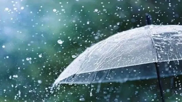 Andhra Pradesh weather: మరో మూడు రోజులు వర్షాలు