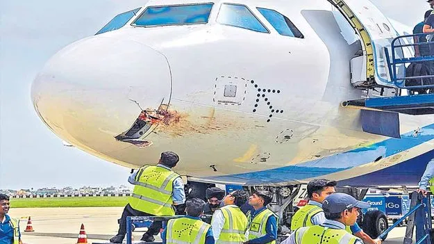 IndiGo Flight: ఇండిగో విమానాన్ని ఢీకొట్టిన పక్షి