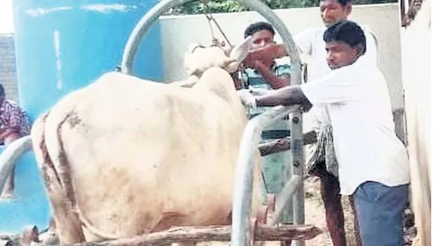 గోపాలమిత్ర గోడు వినేదెవరు?