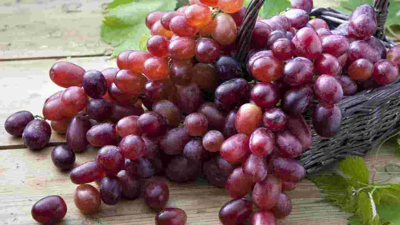 Health Tips: తరచూ ఈ పండ్లు తిన్నారంటే.. క్యాన్సర్ మీ దరి చేరదు..