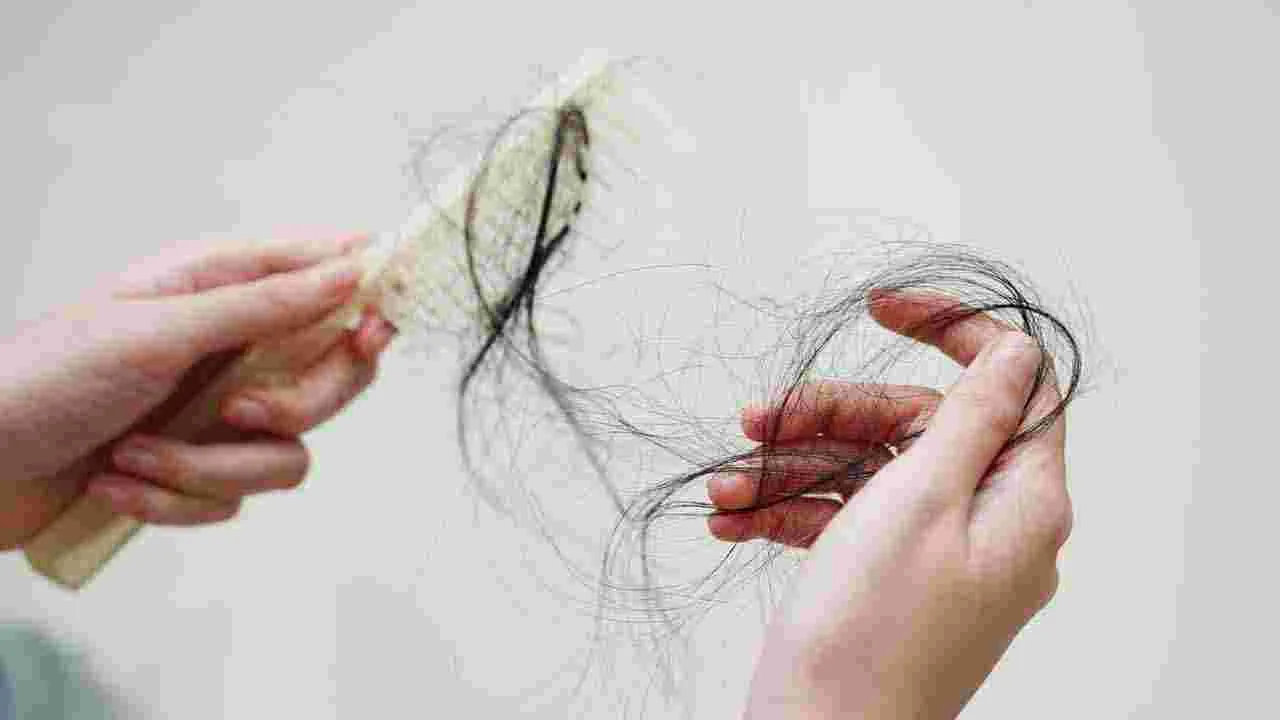 Hair Fall Solution: జుట్టు విపరీతంగా రాలిపోతోందని ఆందోళన పడకండి? ఈ చిట్కాతో కొన్ని రోజుల్లోనే సమస్య దూరం..!