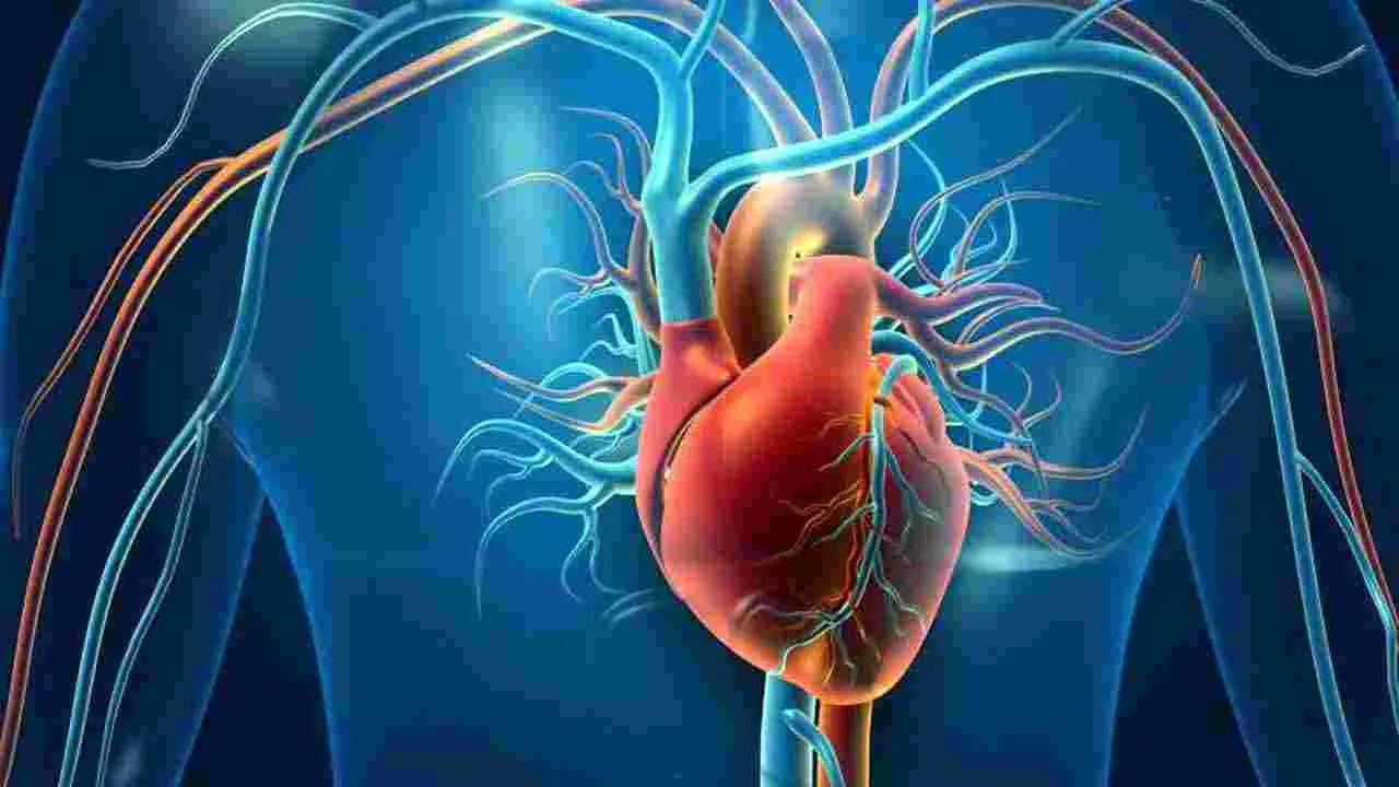 Health Tips: తేనె, అల్లం కలిపి తినడం వల్ల ఎన్ని లాభాలున్నాయో తెలుసా..