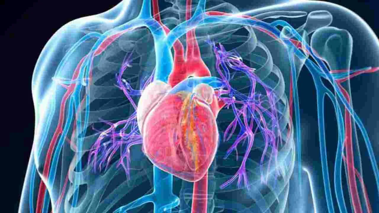 Health Tips: రాత్రి 7లోపు భోజనం చేస్తే.. శరీరంలో ఎలాంటి మార్పులు జరుగుతాయో తెలుసా..
