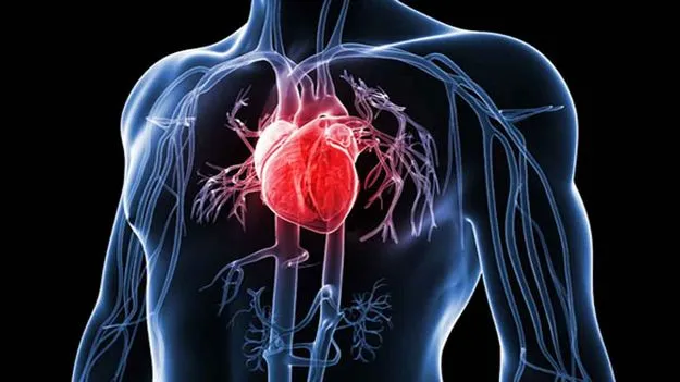 Heart Attack: చర్మంపై కనిపించే ఈ మార్పులు గుండెపోటుకు సంకేతాలు..