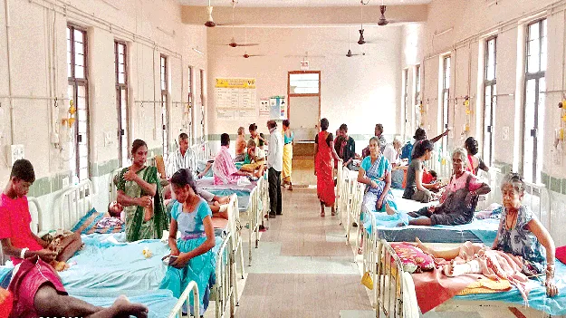 Oh No… Fever Strikes! అమ్మో.. జ్వరం