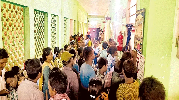  Rising Fevers బాబోయ్‌ జ్వరాలు 