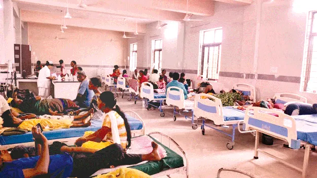   Fever  జ్వరాల పంజా