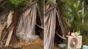 Viral Video: ఆహా.. ఇలాంటి పేదరికం అందరికీ కావాలి.. ఈ గుడిసెను చూస్తే నివ్వెరపోవాల్సిందే.. 
