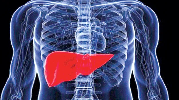 Hepatitis : హెపటైటిస్‌పై అప్రమత్తం