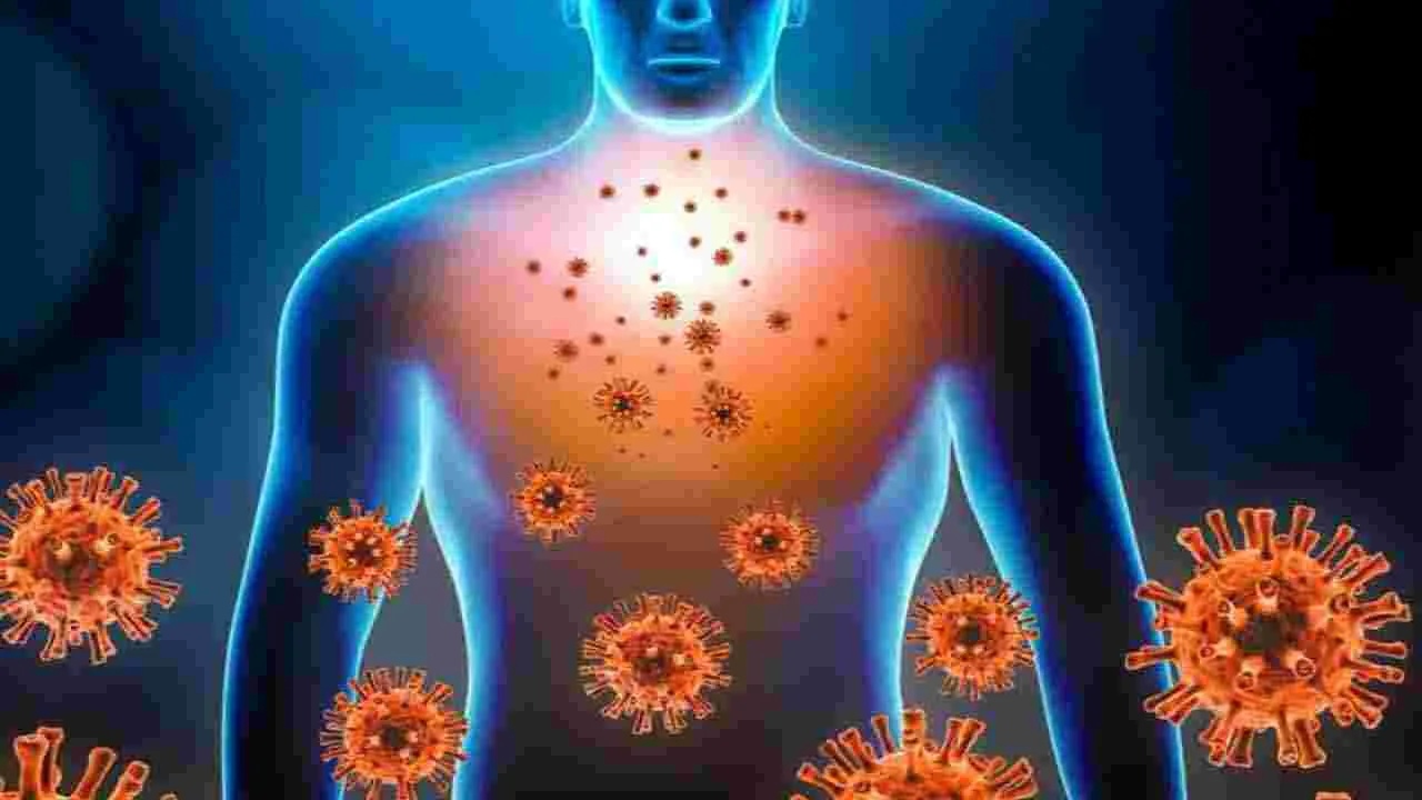 Health Tips: భోజనానికి ముందు పెరుగు తీసుకోవడం వల్ల కలిగే లాభాలివే..