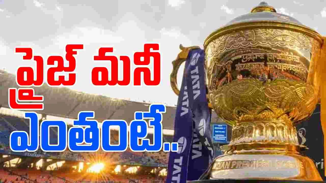 IPL 2025: ఐపీఎల్ ప్రైజ్‌మనీ.. ఏ జట్టుకు ఎంతెంత దక్కుతుందంటే