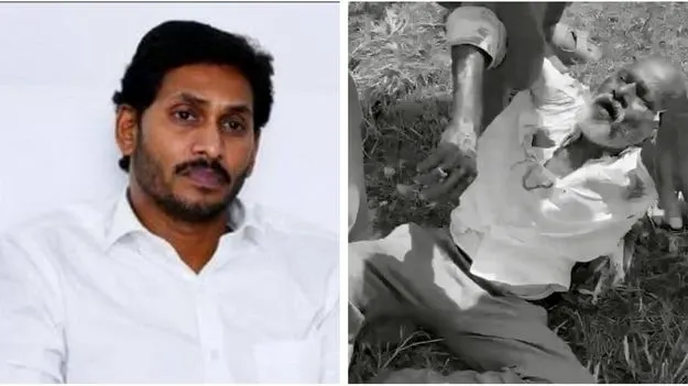 High Court: సింగయ్య మృతి కేసులో తదుపరి చర్యలు నిలుపుదల