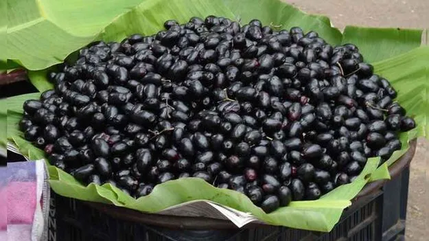 Jamun Fruit: నేరేడు పండ్లను ఇలా తింటే సైడ్ ఎఫెక్ట్స్..!