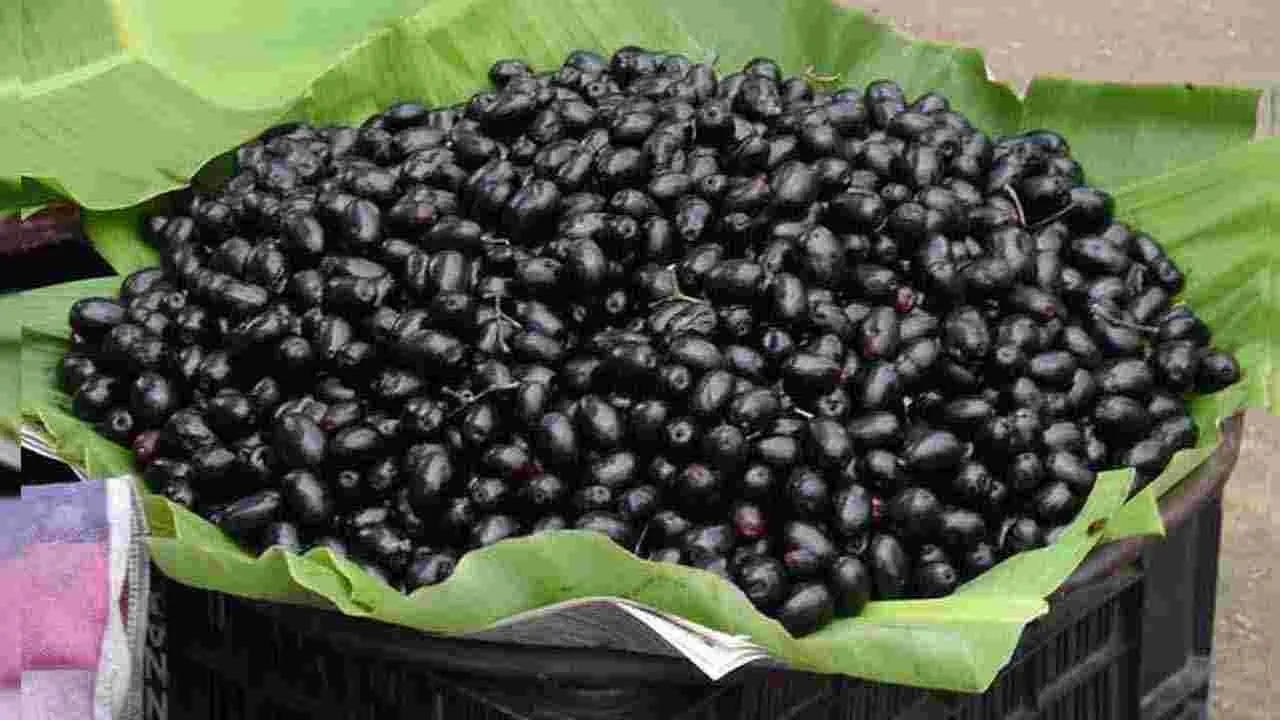 Jamun Fruit: నేరేడు పండ్లను ఇలా తింటే సైడ్ ఎఫెక్ట్స్..!