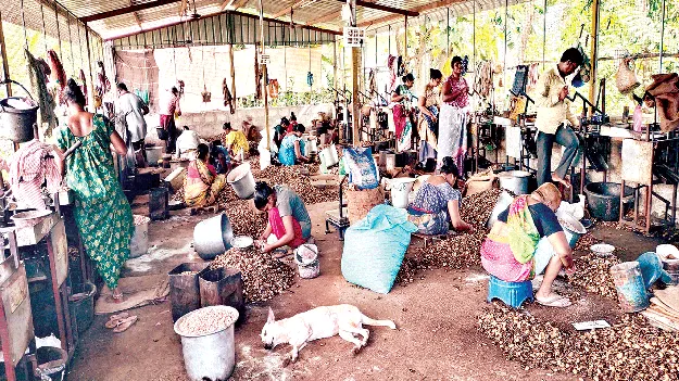 Cashew industries : జీడి పరిశ్రమలు మూత