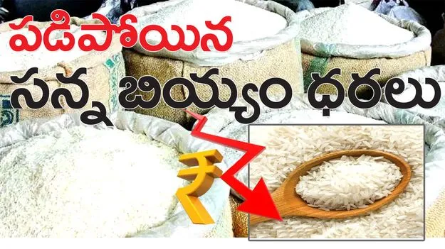 పడిపోయిన సన్న బియ్యం ధరలు 