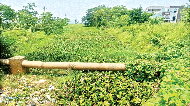   Irrigation Water? కాలువ ఇలా.. సాగునీరు ఎలా?