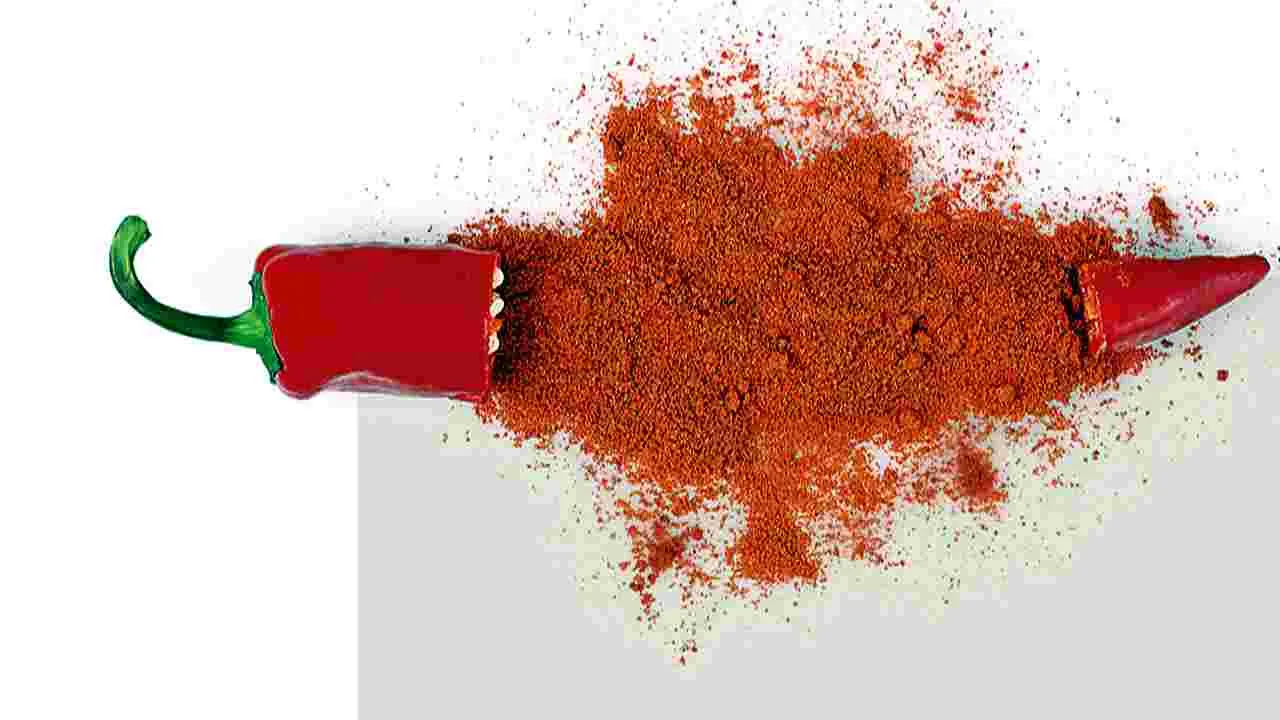 Homemade Spicy Powders: వానొచ్చే వేళ కారంగా.. ఘాటుగా