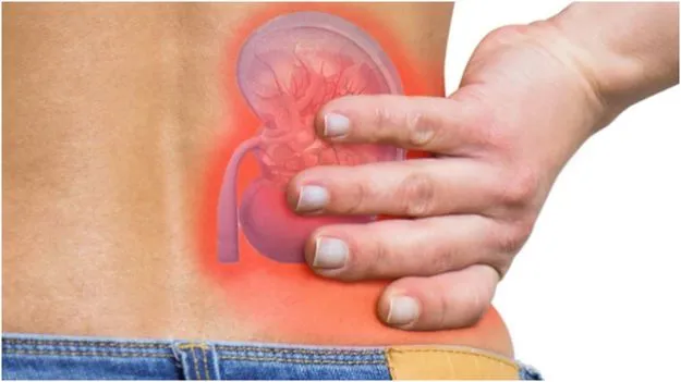 Kidney Disease Symptoms: మీ కిడ్నీ సరిగ్గా పనిచేస్తుందా లేదా.. రోజూ ఇంట్లో ఇలా చెక్ చేసుకోండి..